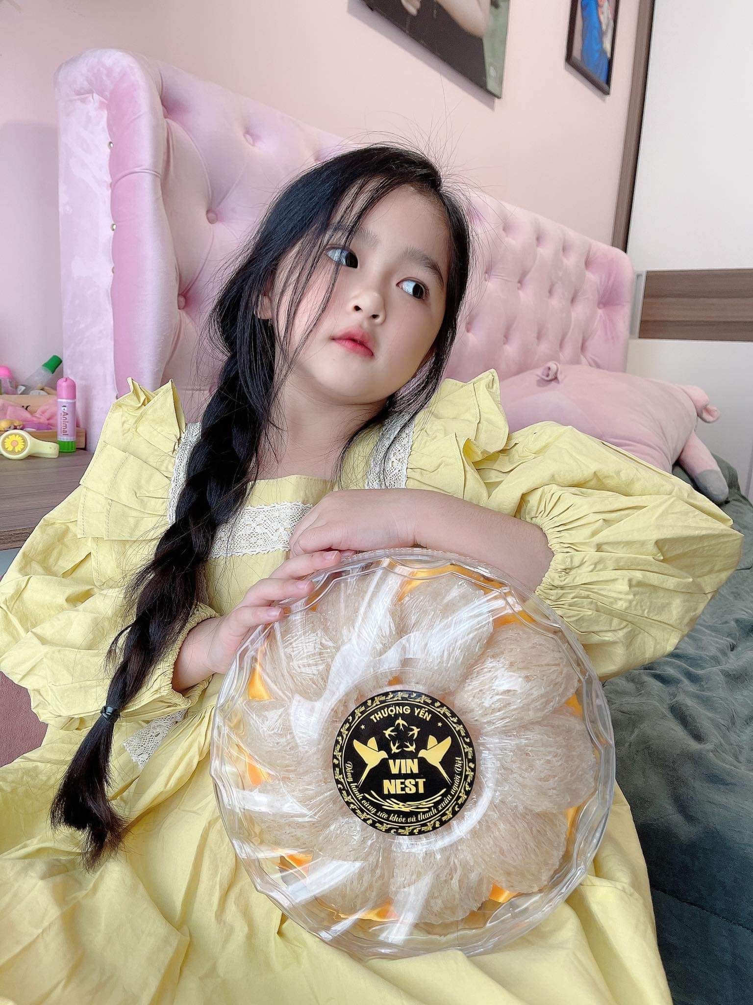 YẾN SÀO VIN NEST - CÔNG TY TNHH VIN NEST