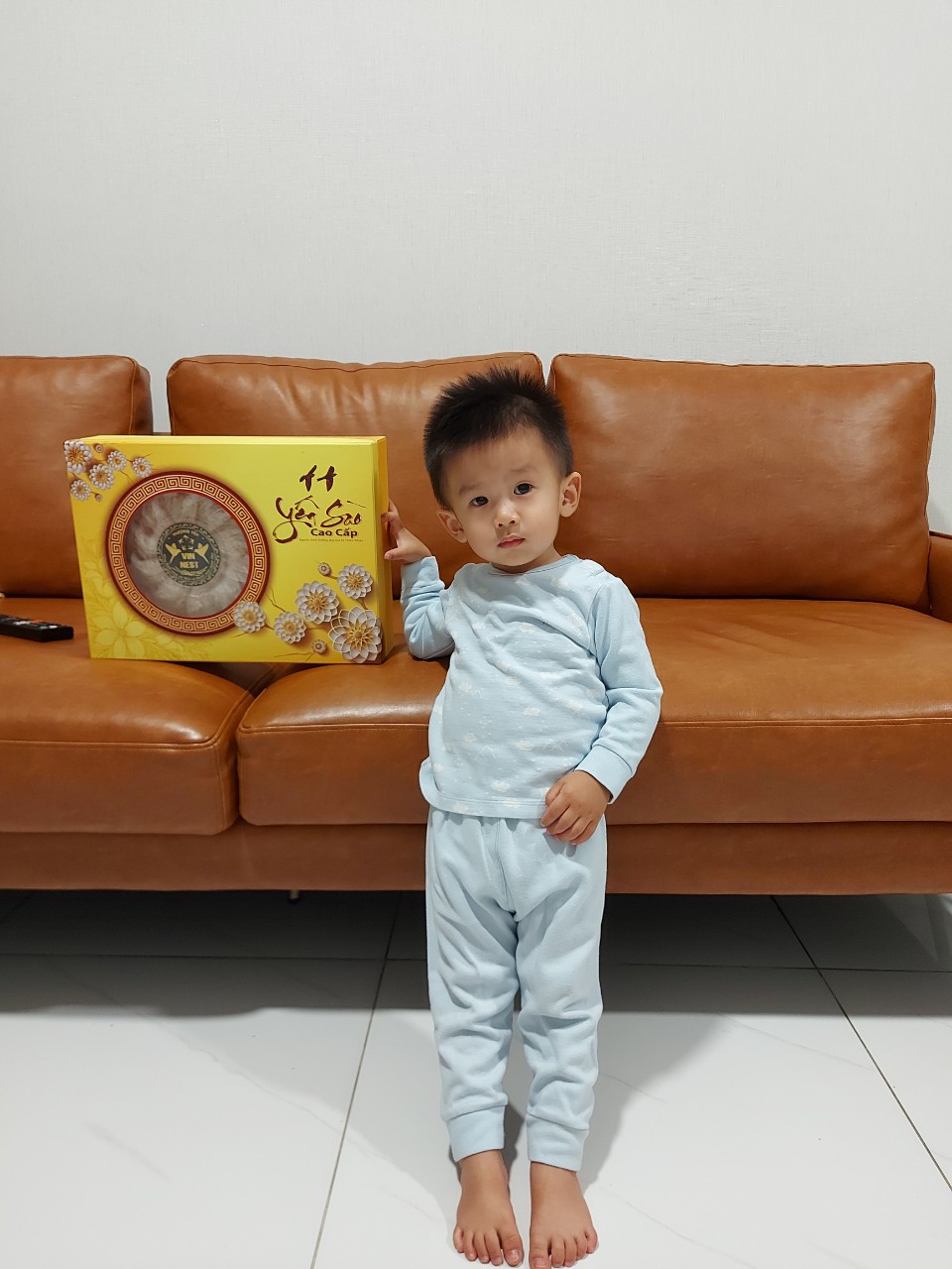 YẾN SÀO VIN NEST - CÔNG TY TNHH VIN NEST