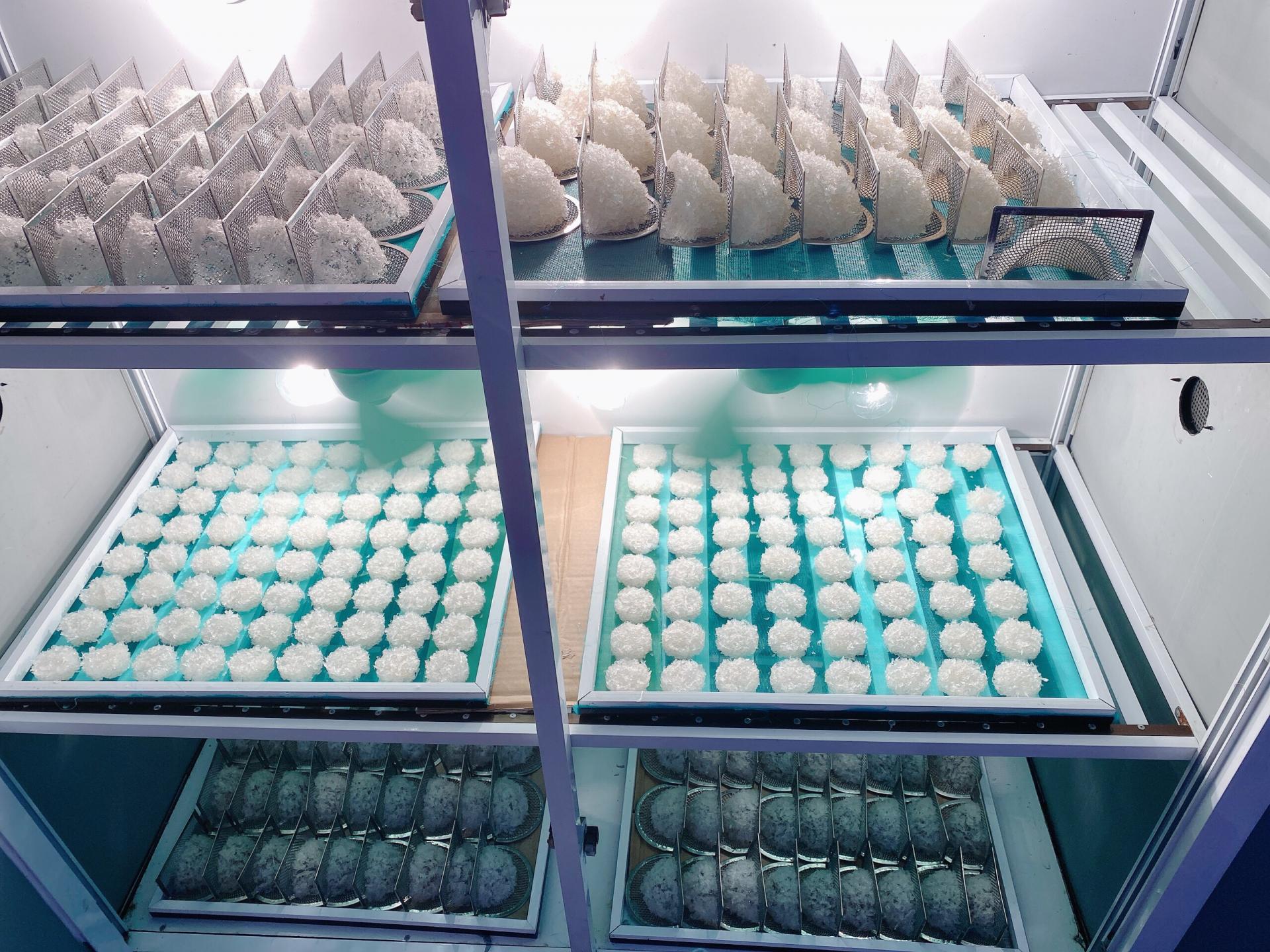 YẾN SÀO VIN NEST - CÔNG TY TNHH VIN NEST