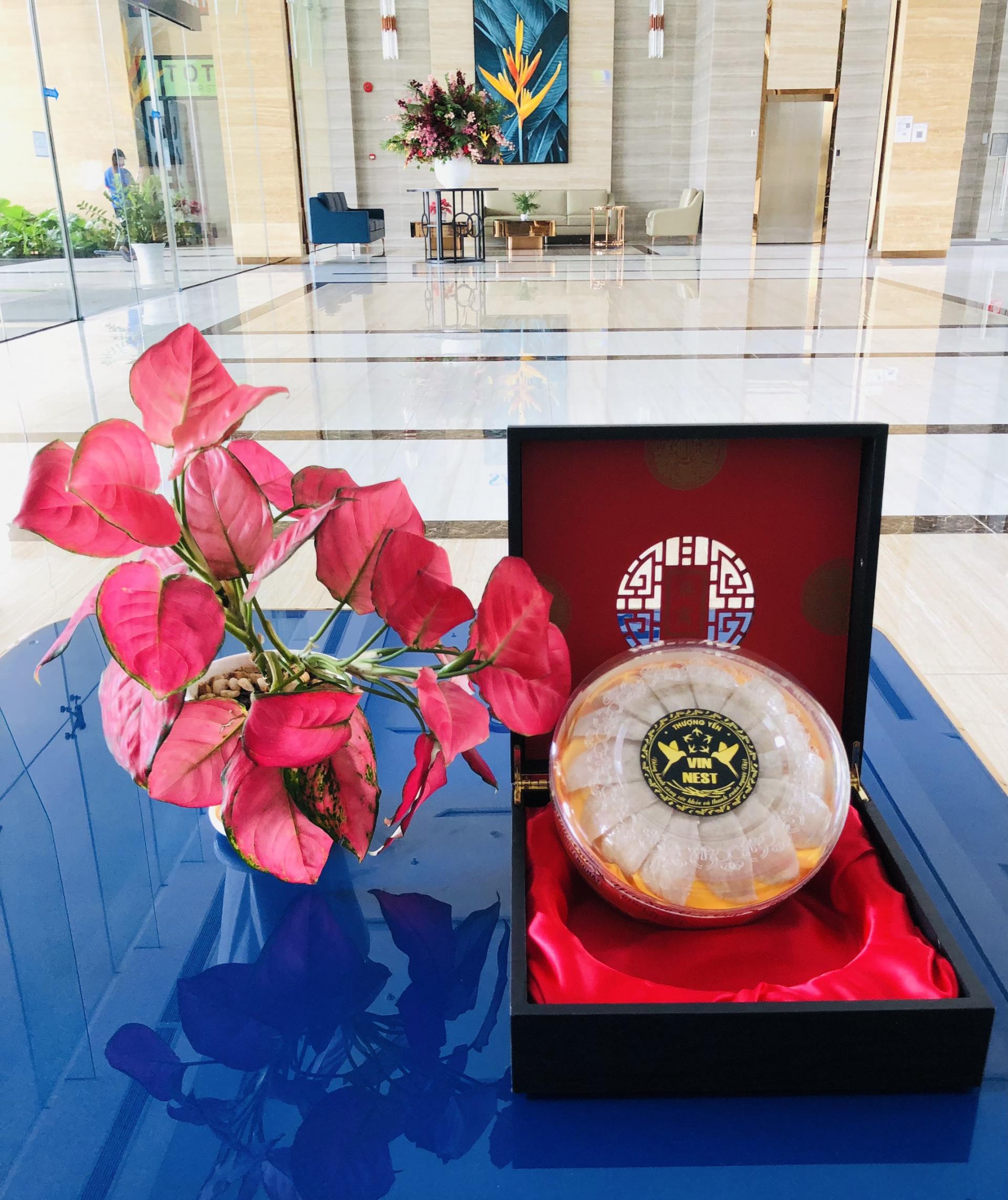 YẾN SÀO VIN NEST - CÔNG TY TNHH VIN NEST